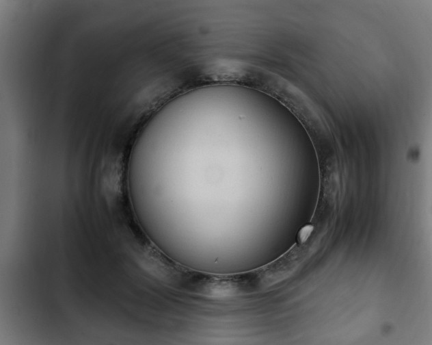 X0000103130604200808291318