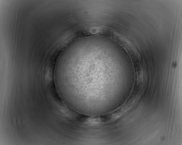 X0000103130606200808291318