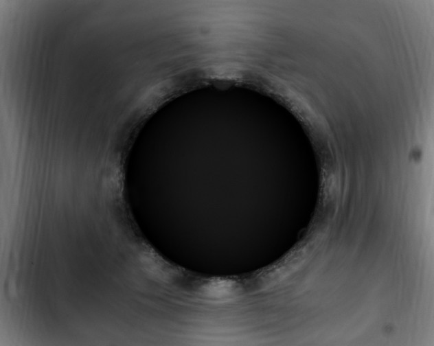 X0000103130609200808291318