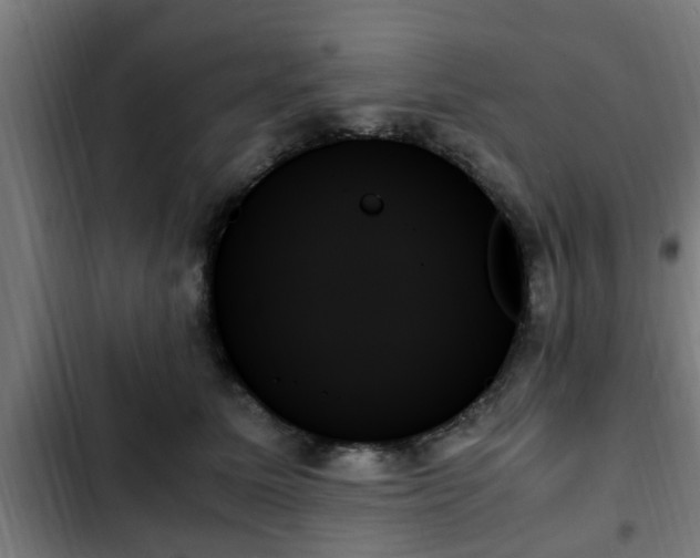 X0000103130611200808291318