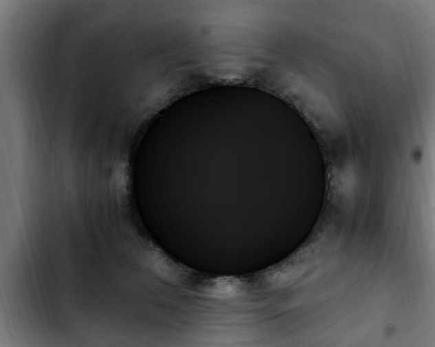 X0000103130612200808291318