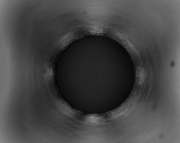 X0000103130614200808291317
