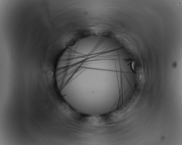X0000103130615200808291317