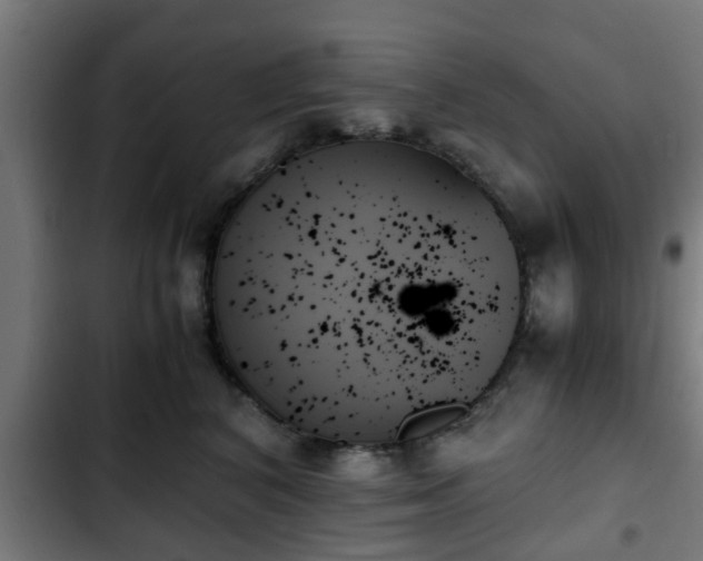 X0000103130616200808291317