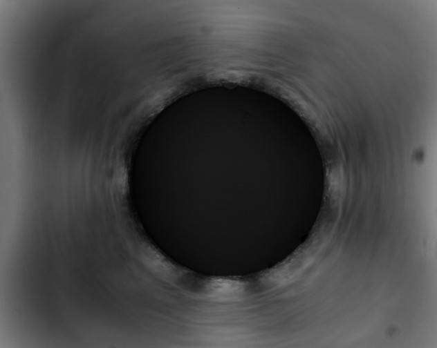 X0000103130617200808291317