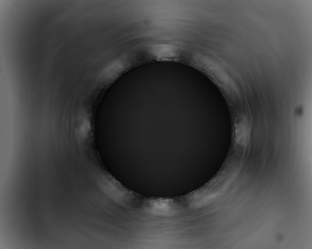 X0000103130618200808291317