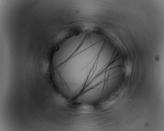 X0000103130619200808291317