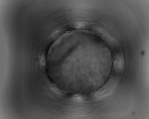 X0000103130620200808291317