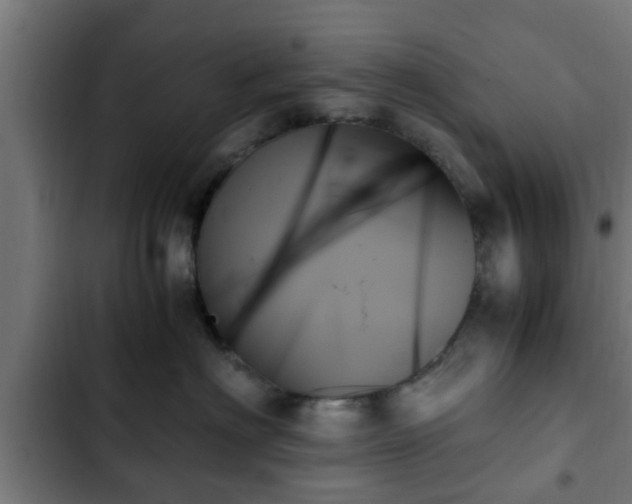 X0000103130622200808291317