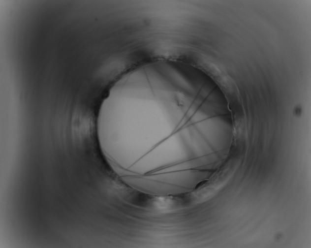 X0000103130623200808291317