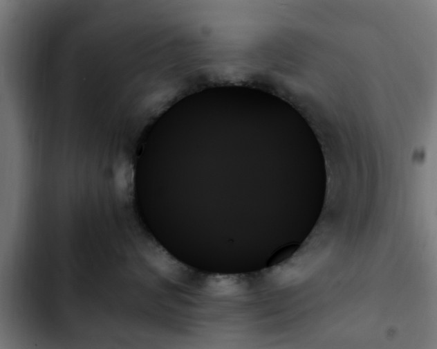 X0000103130624200808291317