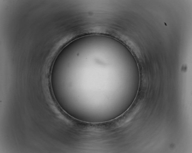 X0000103130625200808291317