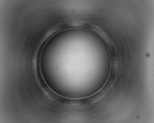 X0000103130626200808291317