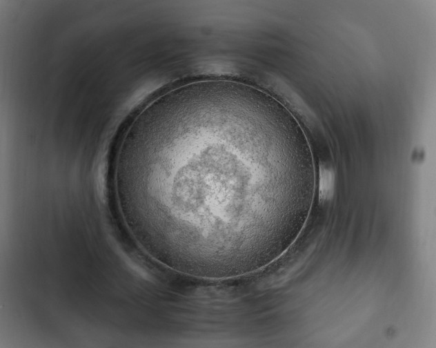 X0000103130627200808291317