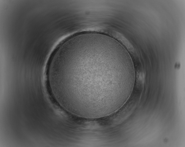 X0000103130628200808291317