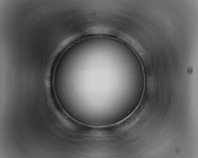 X0000103130629200808291317