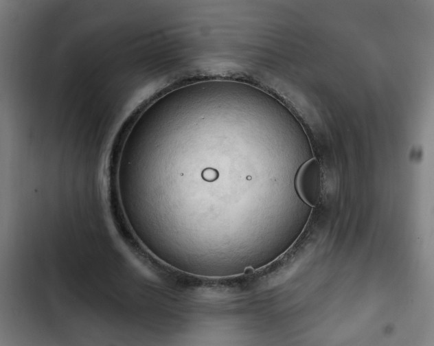 X0000103130630200808291317