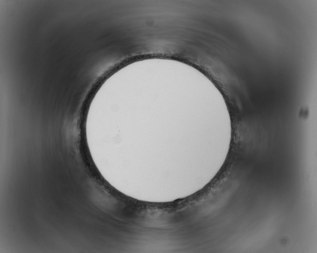 X0000103130632200808291317