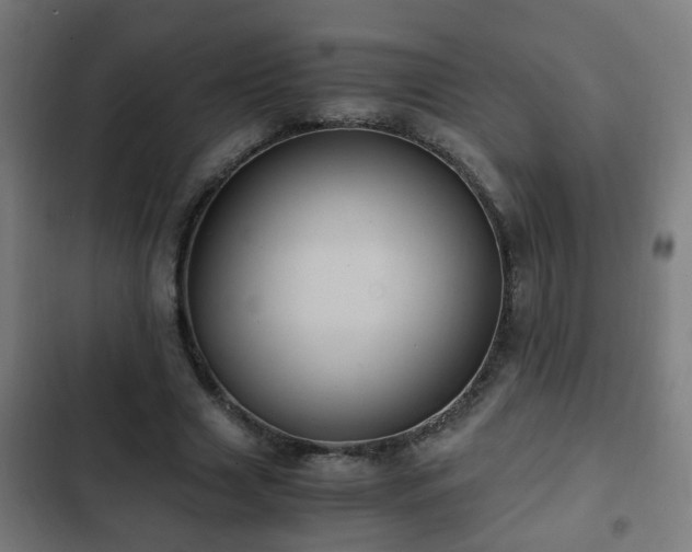 X0000103130633200808291317
