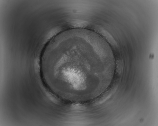 X0000103130634200808291317