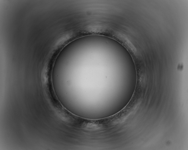 X0000103130635200808291317