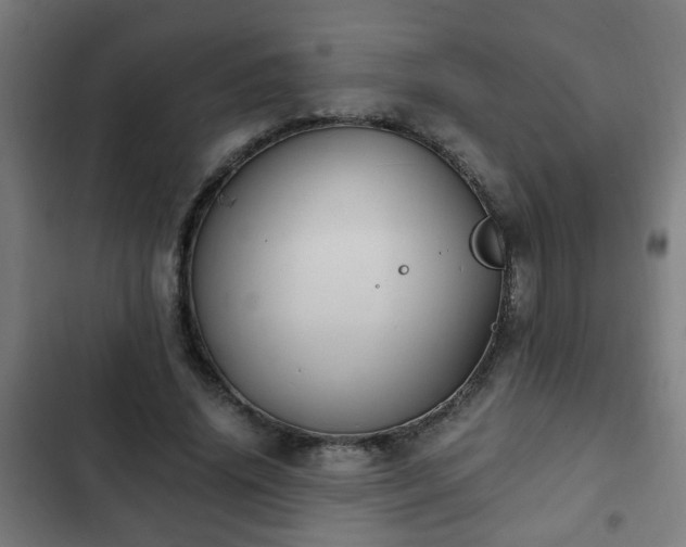X0000103130636200808291317