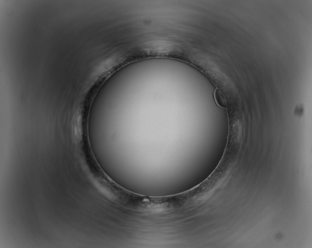 X0000103130638200808291317