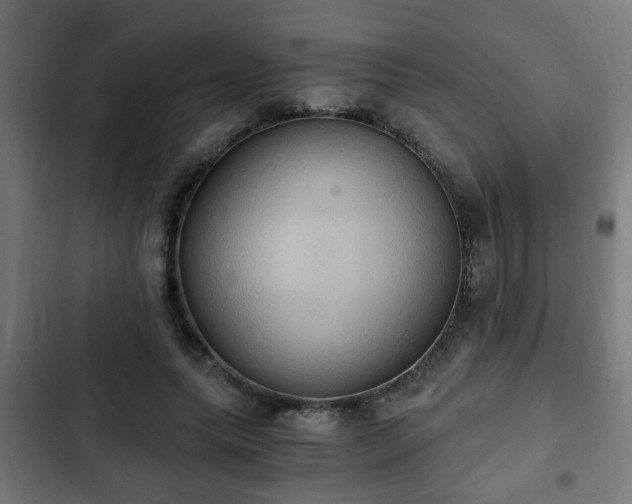 X0000103130639200808291317