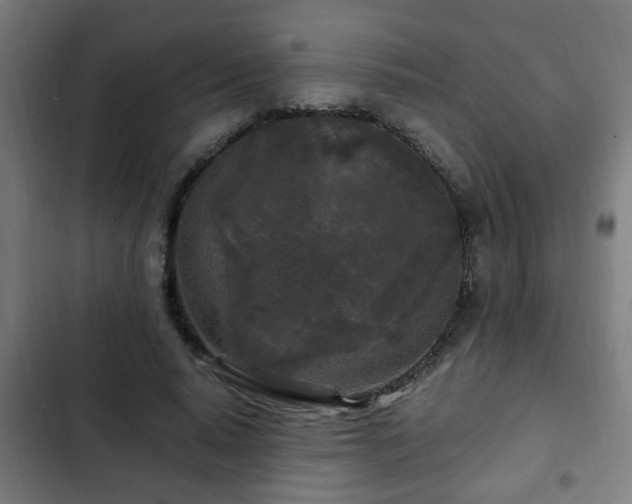X0000103130640200808291317