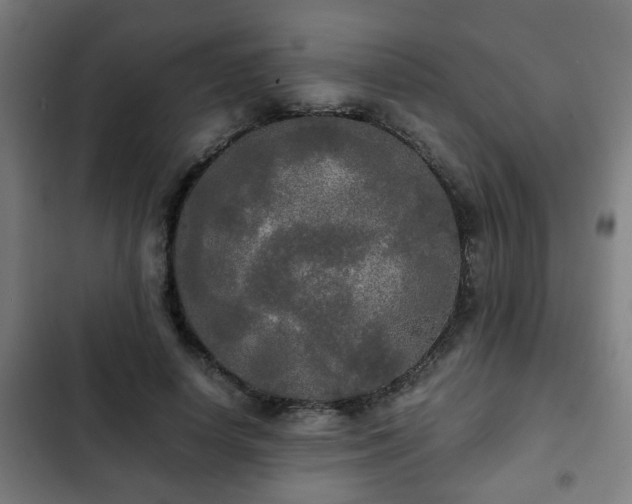 X0000103130642200808291317