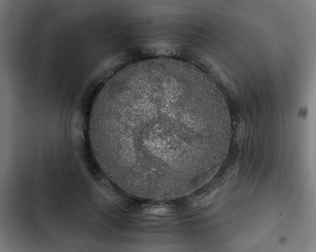 X0000103130643200808291317