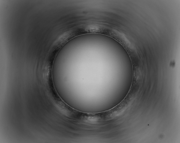 X0000103130645200808291317