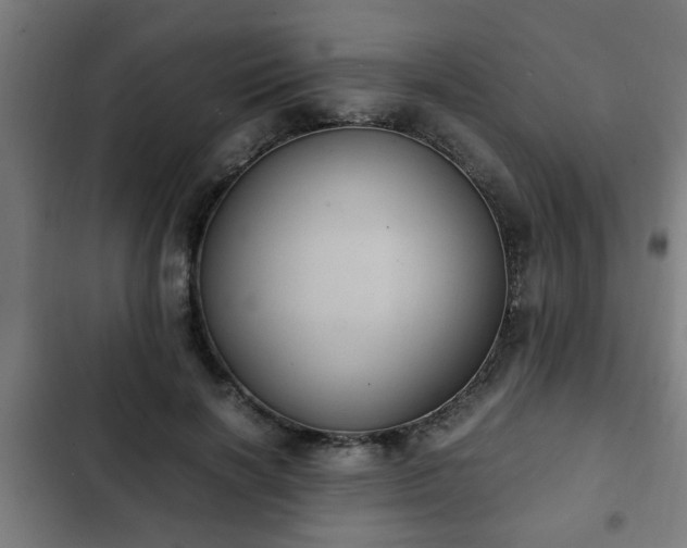 X0000103130646200808291317