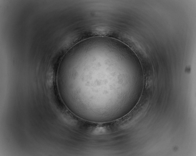 X0000103130647200808291317