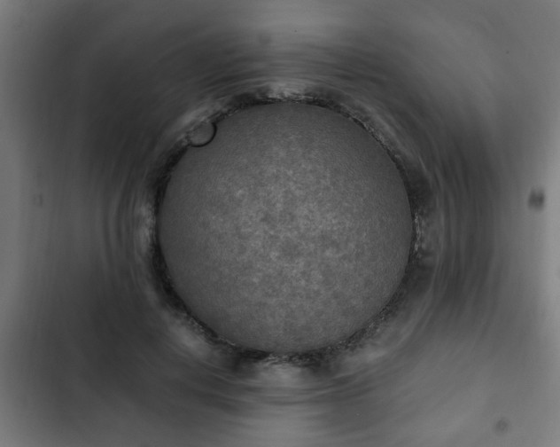 X0000103130648200808291317