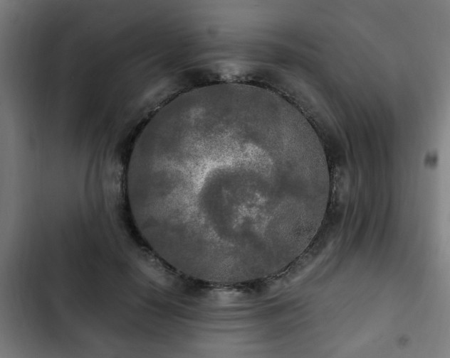 X0000103130650200808291317