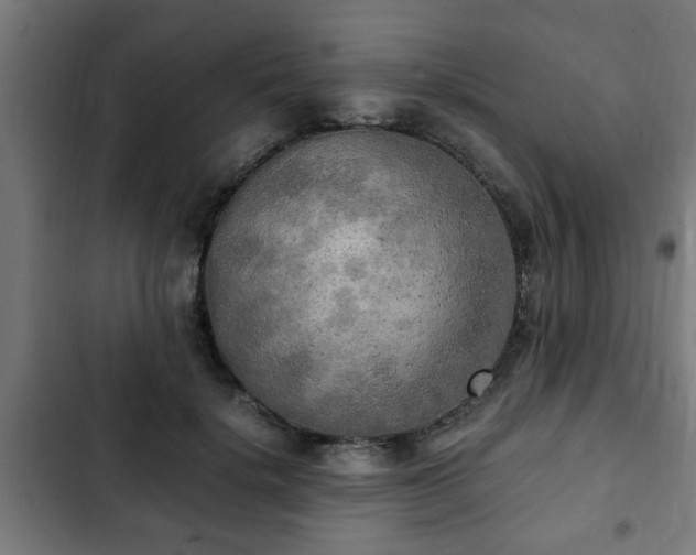 X0000103130652200808291317
