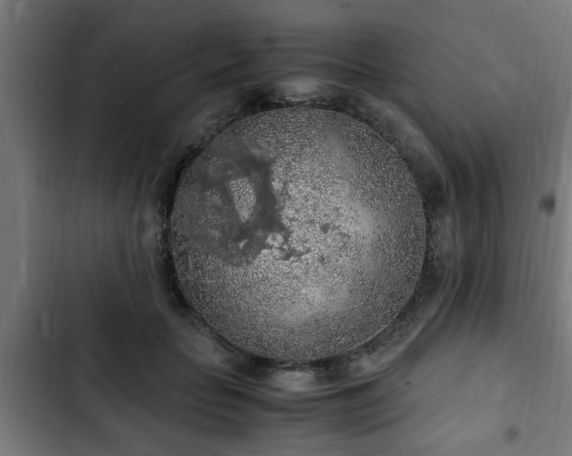 X0000103130653200808291317