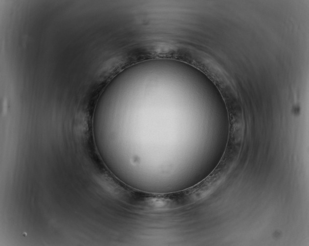 X0000103130654200808291317