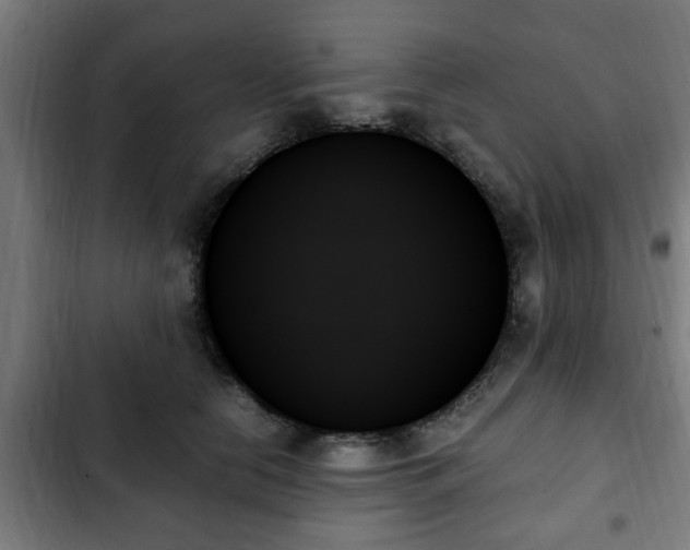 X0000103130658200808291317