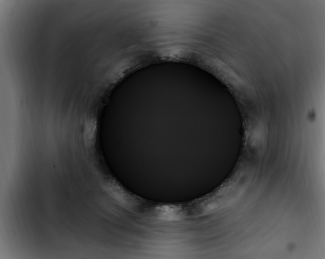 X0000103130660200808291317