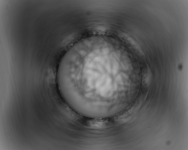 X0000103130661200808291317