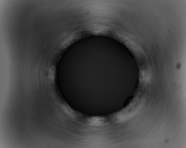 X0000103130664200808291317