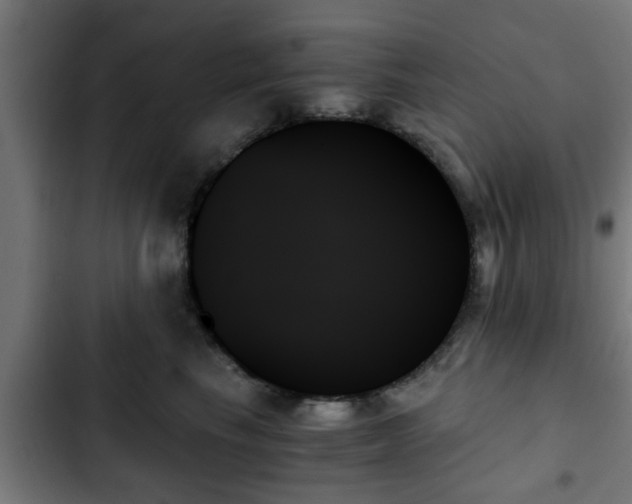 X0000103130665200808291317