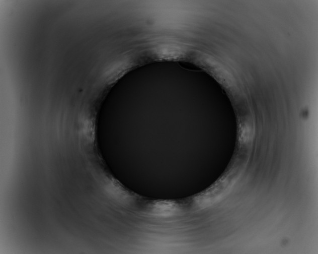 X0000103130666200808291317