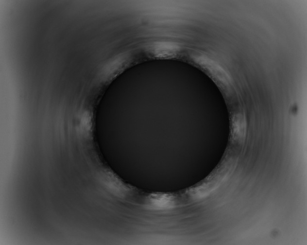 X0000103130667200808291317