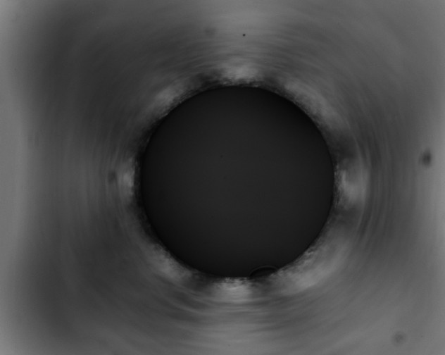 X0000103130668200808291317