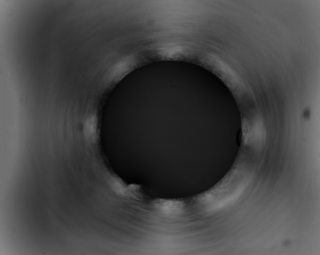 X0000103130670200808291317