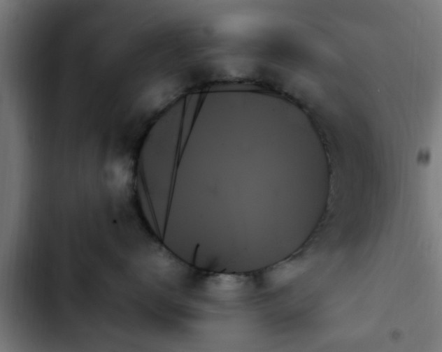X0000103130672200808291317