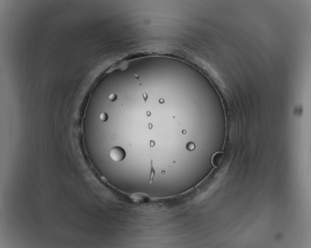 X0000103130673200808291317